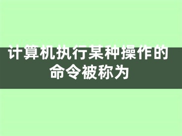 计算机执行某种操作的命令被称为