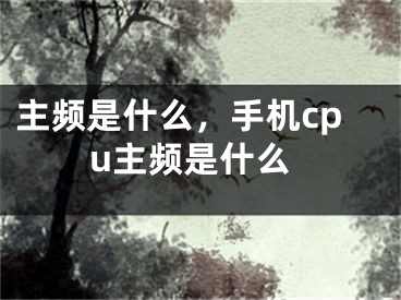主频是什么，手机cpu主频是什么
