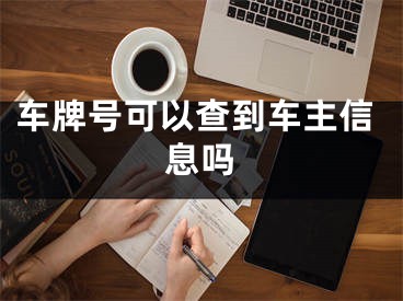 车牌号可以查到车主信息吗