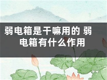 弱电箱是干嘛用的 弱电箱有什么作用