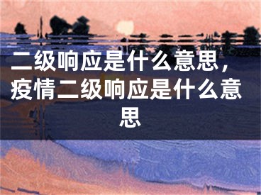 二级响应是什么意思，疫情二级响应是什么意思