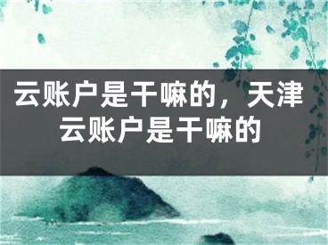 云账户是干嘛的，天津云账户是干嘛的