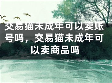 交易猫未成年可以卖账号吗，交易猫未成年可以卖商品吗