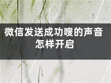 微信发送成功嗖的声音怎样开启