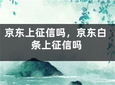 京东上征信吗，京东白条上征信吗