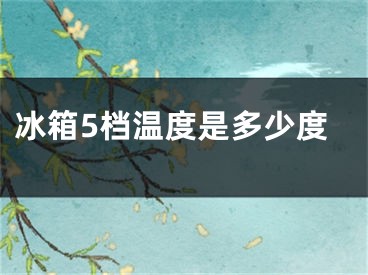 冰箱5档温度是多少度