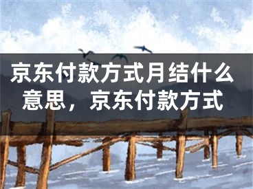 京东付款方式月结什么意思，京东付款方式