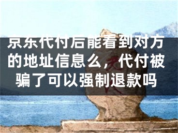 京东代付后能看到对方的地址信息么，代付被骗了可以强制退款吗