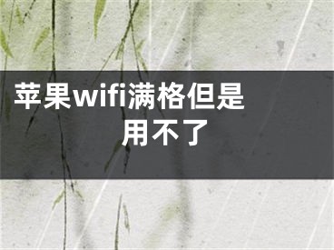 苹果wifi满格但是用不了