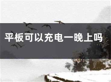 平板可以充电一晚上吗