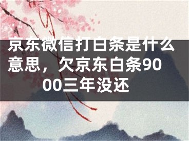 京东微信打白条是什么意思，欠京东白条9000三年没还