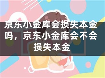 京东小金库会损失本金吗，京东小金库会不会损失本金 