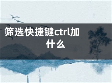 筛选快捷键ctrl加什么 