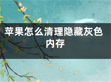 苹果怎么清理隐藏灰色内存