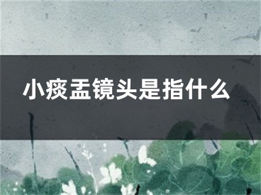 小痰盂镜头是指什么