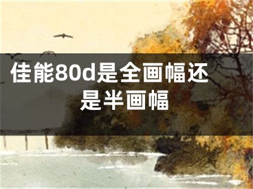 佳能80d是全画幅还是半画幅