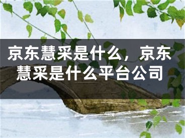 京东慧采是什么，京东慧采是什么平台公司