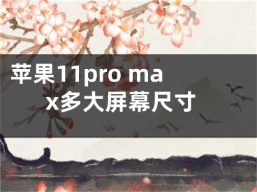 苹果11pro max多大屏幕尺寸