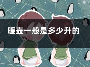 暖壶一般是多少升的