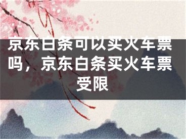 京东白条可以买火车票吗，京东白条买火车票受限