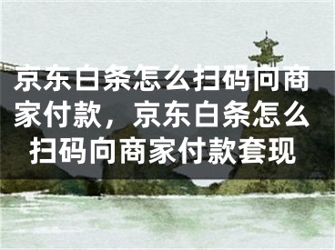 京东白条怎么扫码向商家付款，京东白条怎么扫码向商家付款套现