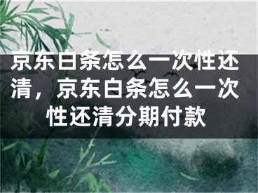 京东白条怎么一次性还清，京东白条怎么一次性还清分期付款