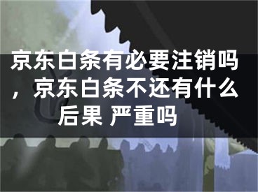 京东白条有必要注销吗，京东白条不还有什么后果 严重吗