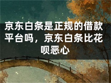 京东白条是正规的借款平台吗，京东白条比花呗恶心