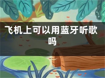 飞机上可以用蓝牙听歌吗
