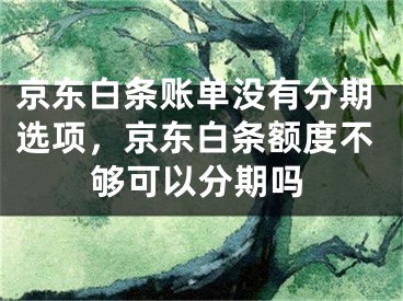 京东白条账单没有分期选项，京东白条额度不够可以分期吗