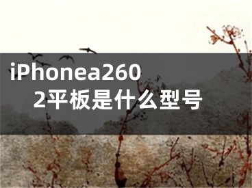 iPhonea2602平板是什么型号