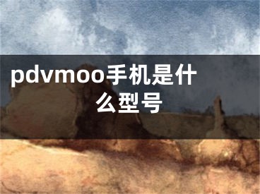 pdvmoo手机是什么型号