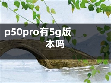 p50pro有5g版本吗