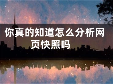 你真的知道怎么分析网页快照吗 