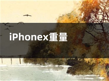 iPhonex重量