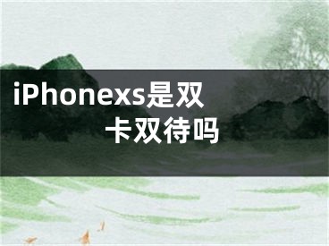 iPhonexs是双卡双待吗