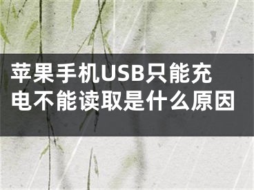 苹果手机USB只能充电不能读取是什么原因