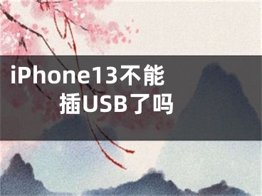 iPhone13不能插USB了吗