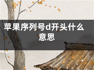 苹果序列号d开头什么意思