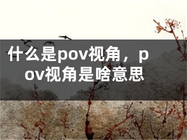 什么是pov视角，pov视角是啥意思