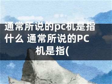 通常所说的pc机是指什么 通常所说的PC机是指(