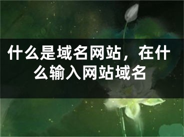 什么是域名网站，在什么输入网站域名