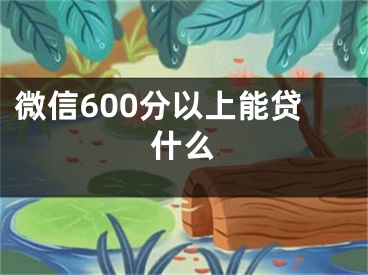 微信600分以上能贷什么