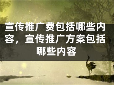 宣传推广费包括哪些内容，宣传推广方案包括哪些内容