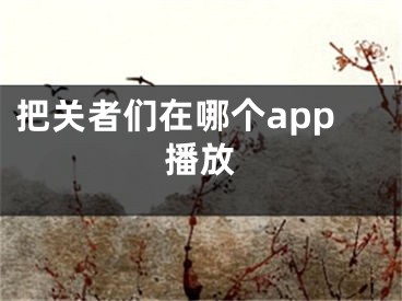 把关者们在哪个app播放