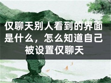 仅聊天别人看到的界面是什么，怎么知道自己被设置仅聊天
