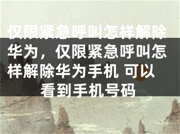 仅限紧急呼叫怎样解除华为，仅限紧急呼叫怎样解除华为手机 可以看到手机号码