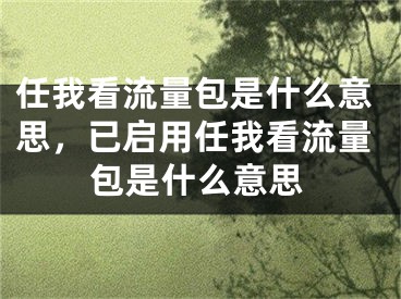 任我看流量包是什么意思，已启用任我看流量包是什么意思