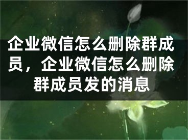 企业微信怎么删除群成员，企业微信怎么删除群成员发的消息