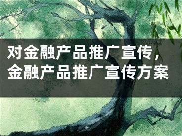 对金融产品推广宣传，金融产品推广宣传方案